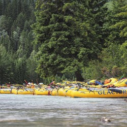 row of glacier raft company rafts waiting for tours to begin