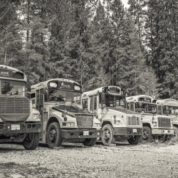 glacier raft company buses lined up at golden bc rafting base