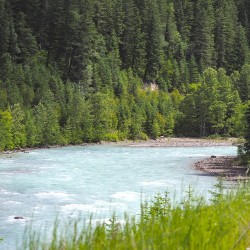 kicking horse river golden bc