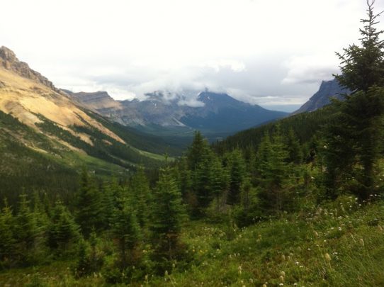 Hiking to Helen Lake in Jasper National Park