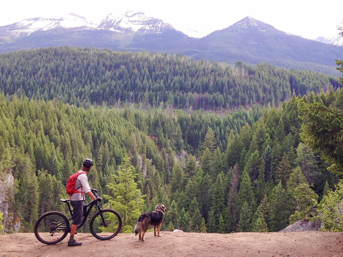 Mountain Biking in Golden British Columbia