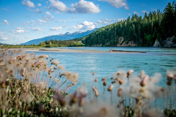 Kayak tours on the Kicking Horse and Columbia Rivers in Golden BC