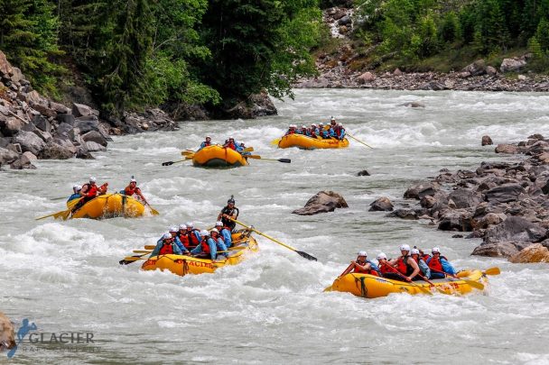 Whitewater Rafting with Glacier Raft Company in Golden, BC