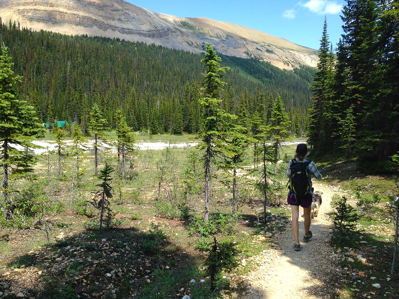 Hiking the Iceline Trail in Yoho National Park, Canada