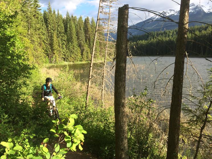 Single track mountain biking in Golden BC