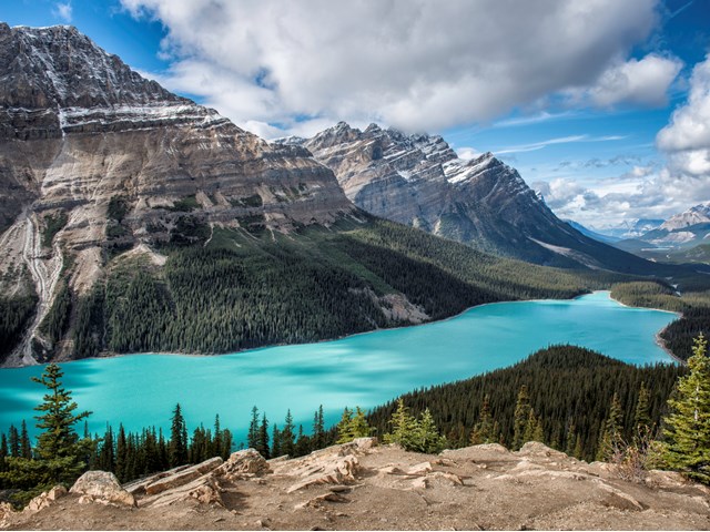 Peyto Lake is one of the best hikes on the Icefields Parkway in Alberta