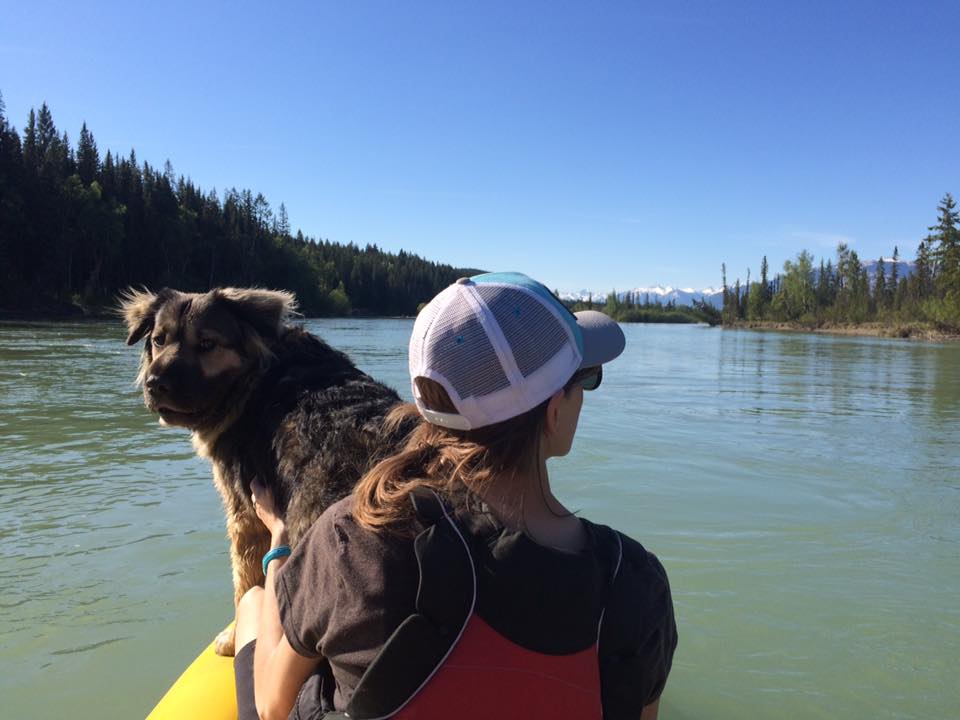 Dog friendly kayak rentals in Golden BC