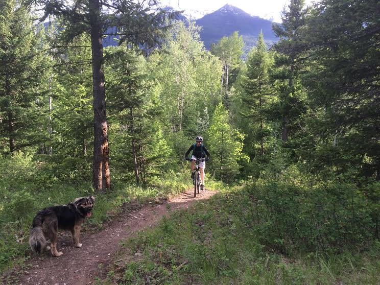 Biking in Golden, BC with a dog