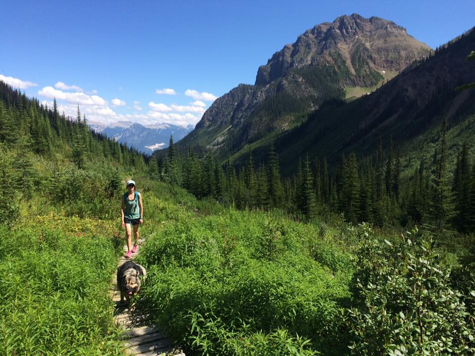 Hiking to Gorman Lake, a dog friendly hike in Golden British Columbia