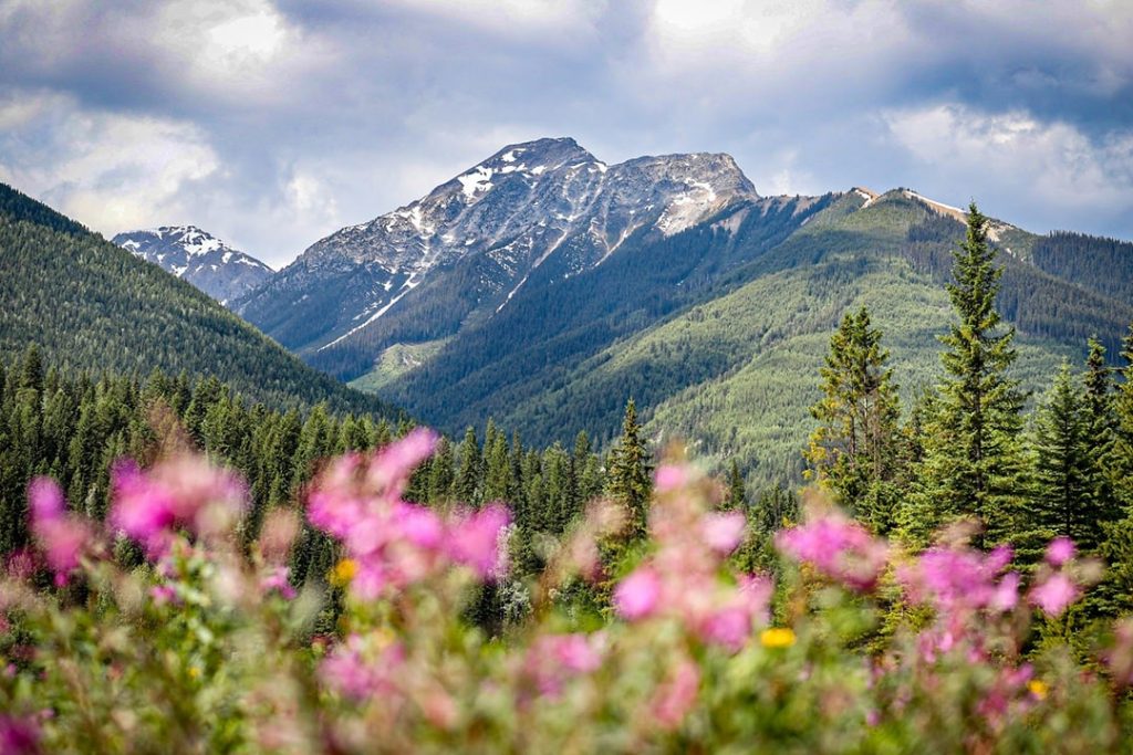 5 Best Views In Golden BC - Scenery The Canadian Rockies Are Known For