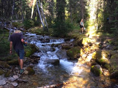 10 Best Places to Get Off The Beaten Track in Golden, BC