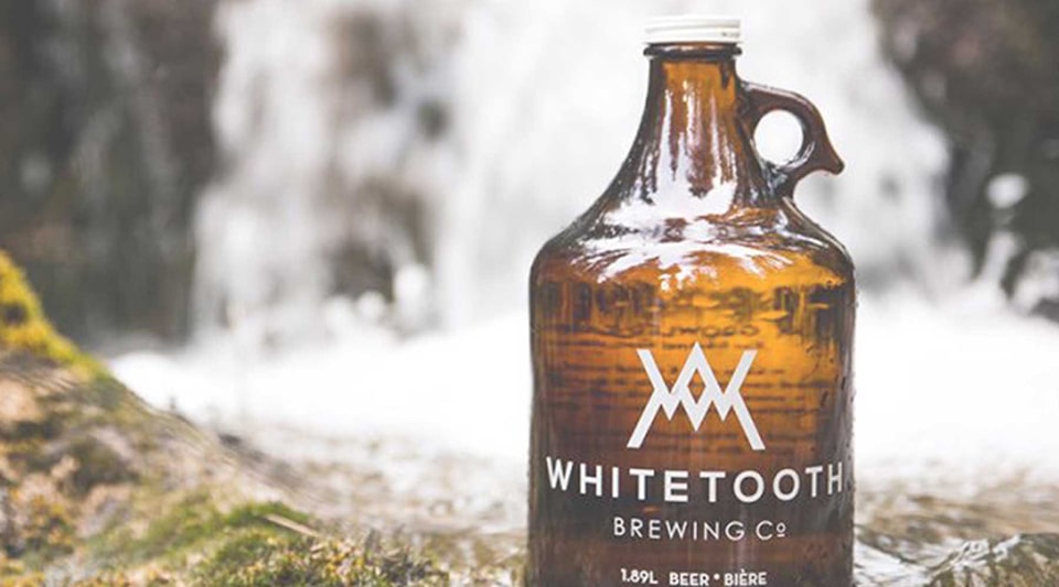 Whitetooth Brewery is one business you can support to shop local