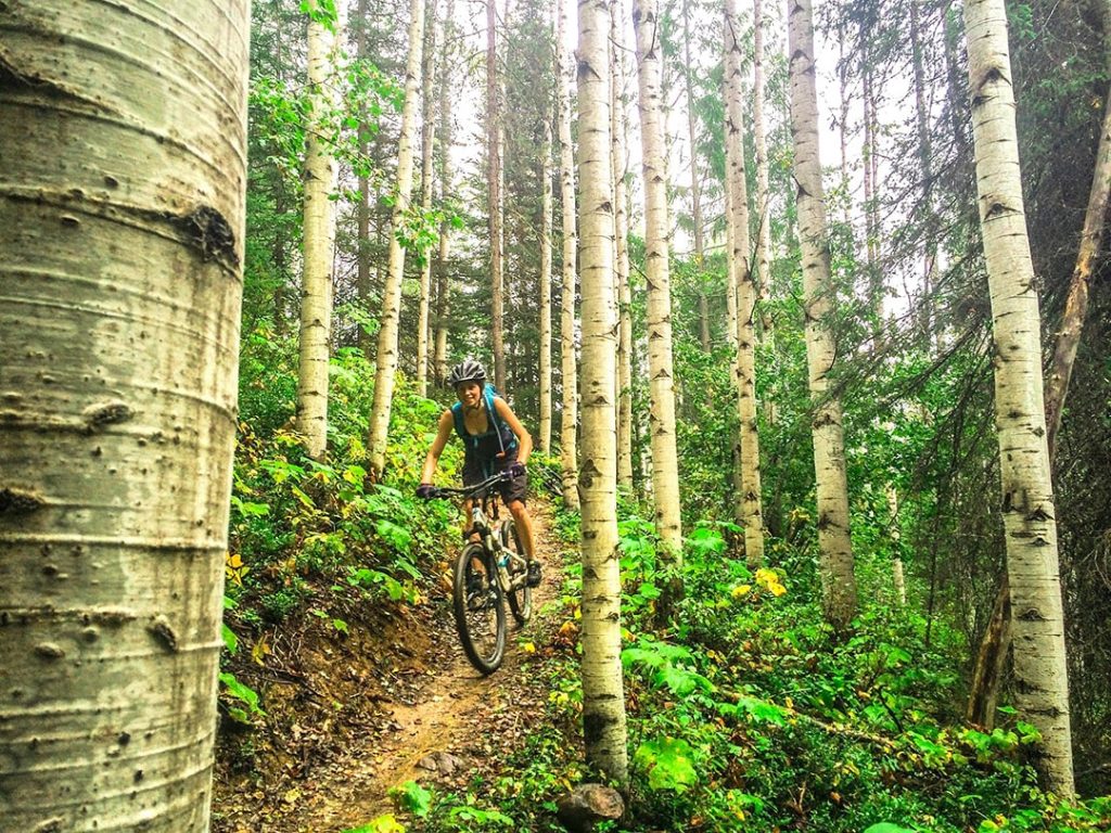 Biking Moonraker Trails in lush forest