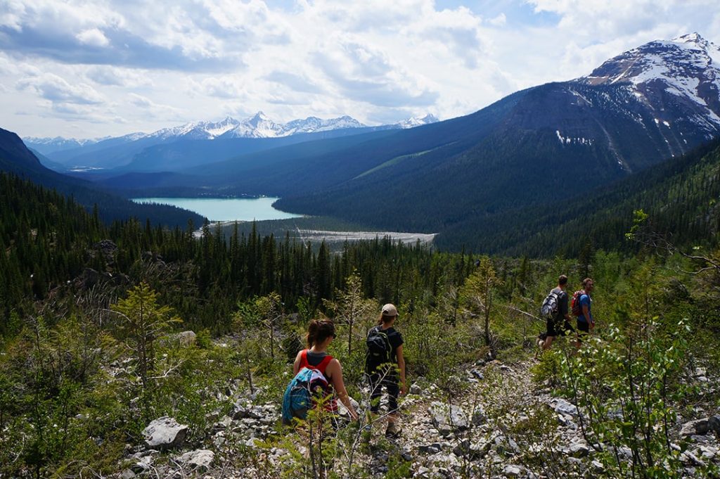 Hiking to Yoho Lake in Yoho National Park