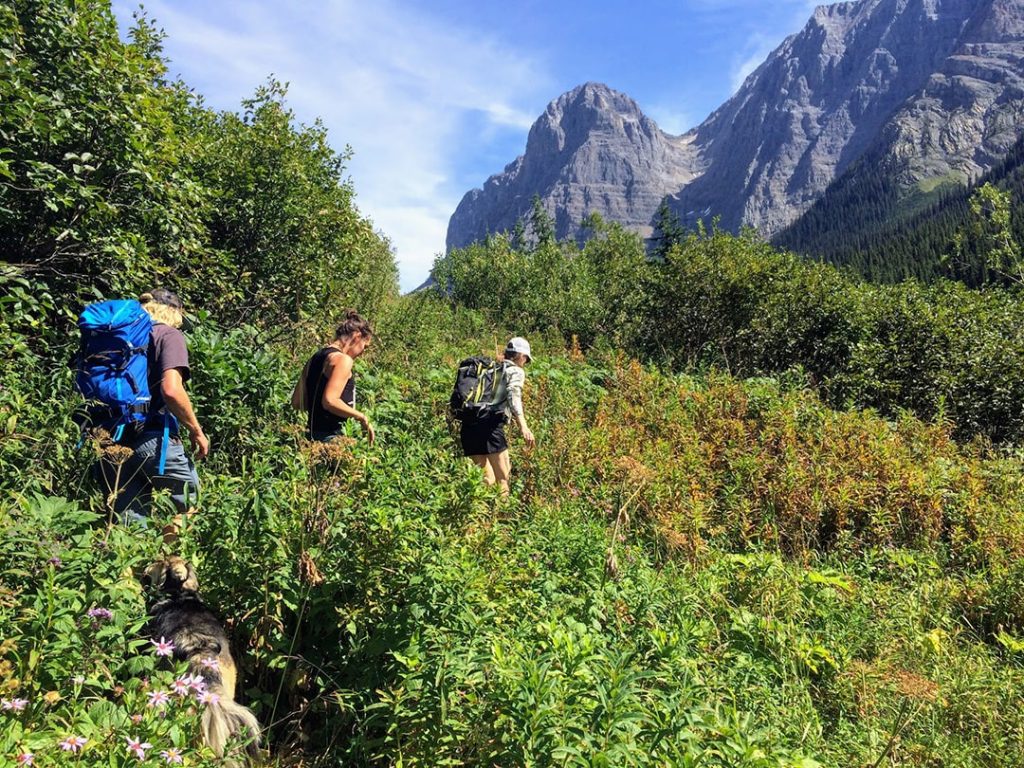 Friends hiking to Rockwall in Kootenay National Park