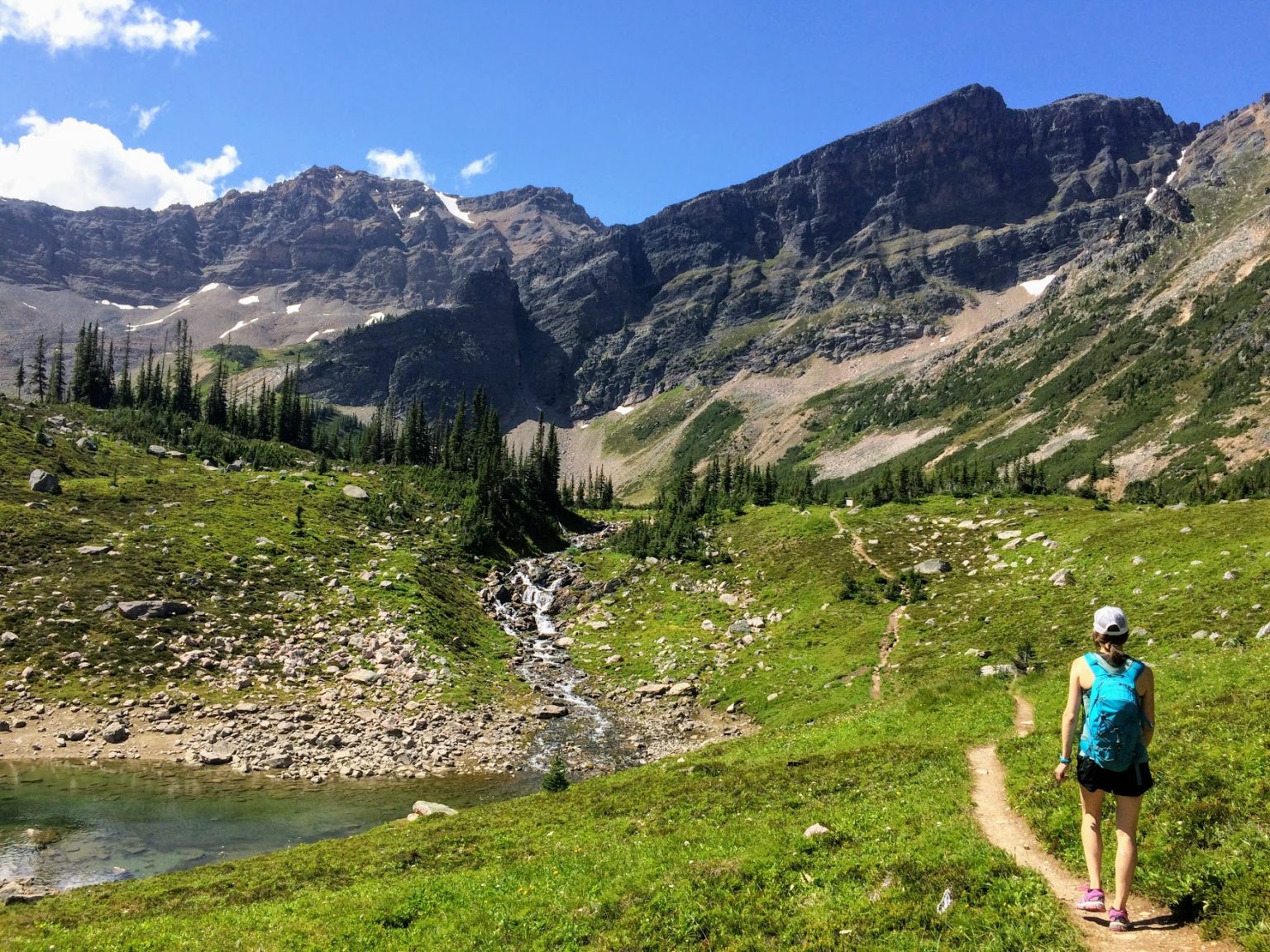 Free Campsites In and Around Golden BC Camp in the Canadian Rockies