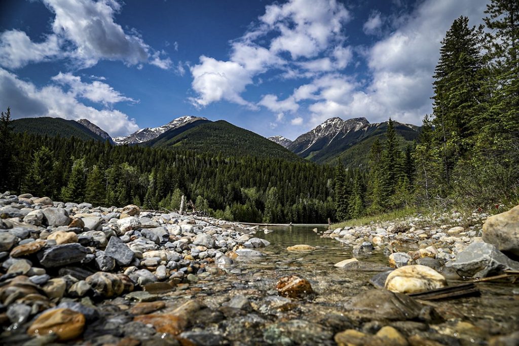 View of Kicking Horse River and Canadian Rocky Mountains