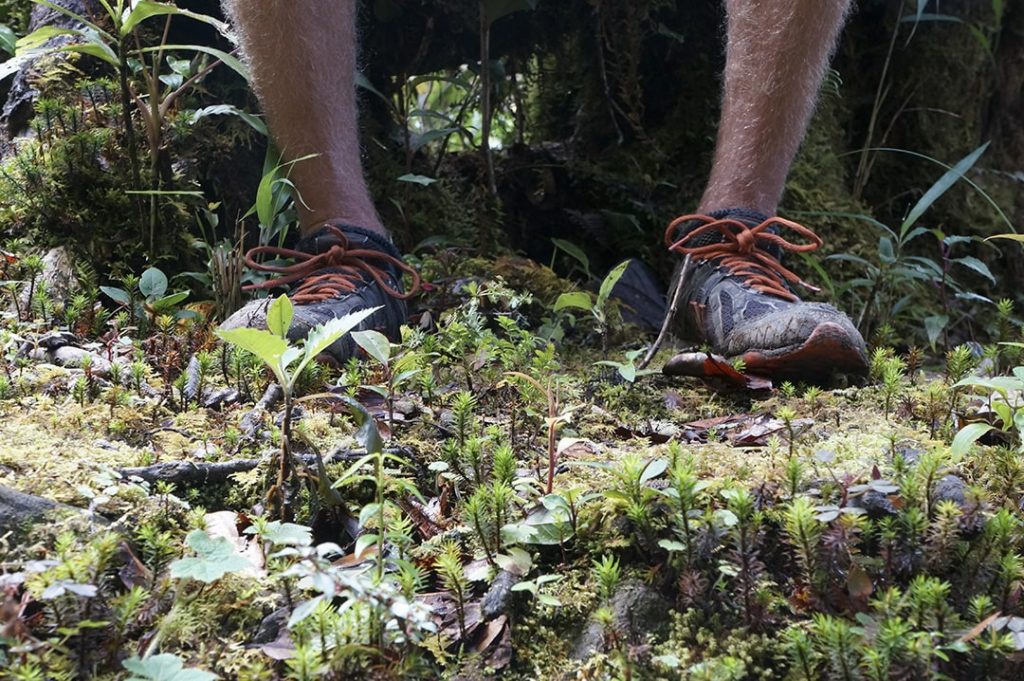 Hiking boots or trail runners are a must when packing for a trip to the Canadian Rocky Mountains