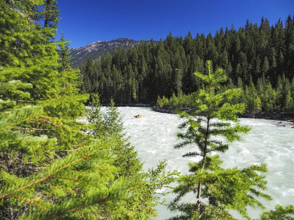 boat going down kicking horse river in golden bc